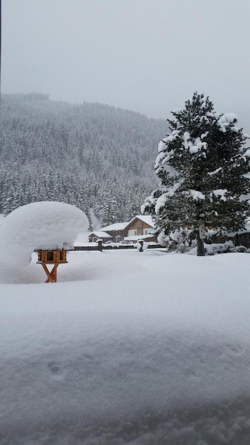 Ferienhaus Helmuth Oberreiter Flachau Exteriér fotografie